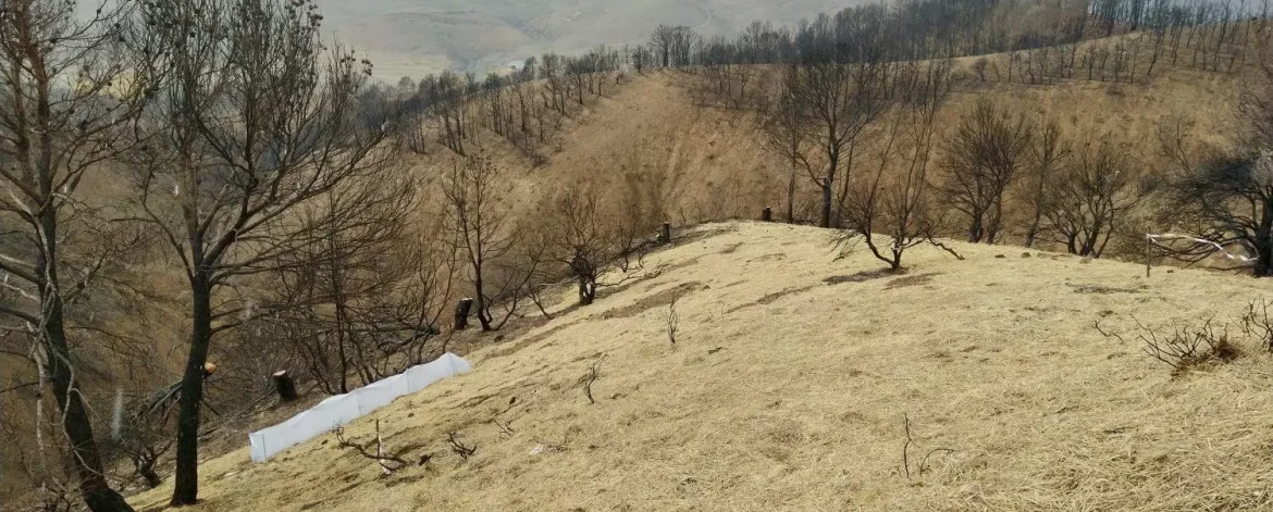 Foto incendios Foto incendios