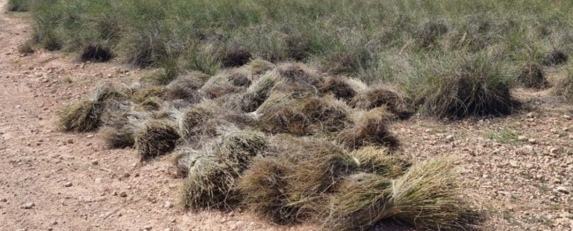 206184806--1200x840 206184806--1200x840